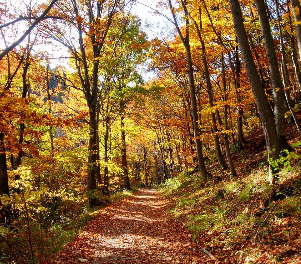 At finde vej mod mere trivsel psykologbehandling